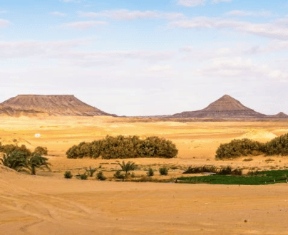 Bahareya Oasis